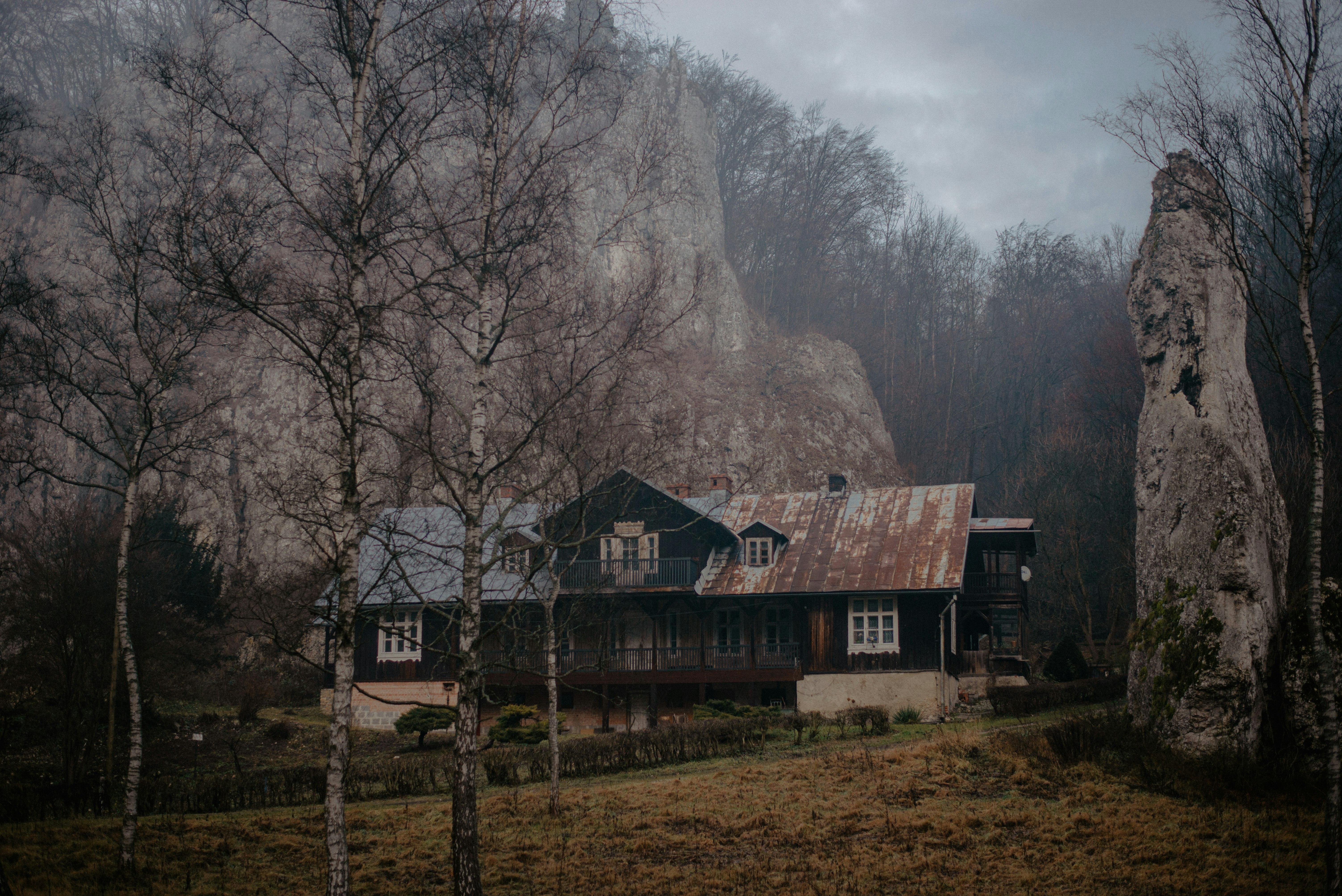 brown wooden house near trees under white sky during daytime